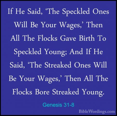 Genesis 31-8 - If He Said, 'The Speckled Ones Will Be Your Wages,If He Said, 'The Speckled Ones Will Be Your Wages,' Then All The Flocks Gave Birth To Speckled Young; And If He Said, 'The Streaked Ones Will Be Your Wages,' Then All The Flocks Bore Streaked Young. 