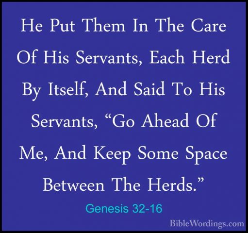Genesis 32-16 - He Put Them In The Care Of His Servants, Each HerHe Put Them In The Care Of His Servants, Each Herd By Itself, And Said To His Servants, "Go Ahead Of Me, And Keep Some Space Between The Herds." 