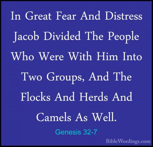 Genesis 32-7 - In Great Fear And Distress Jacob Divided The PeoplIn Great Fear And Distress Jacob Divided The People Who Were With Him Into Two Groups, And The Flocks And Herds And Camels As Well. 