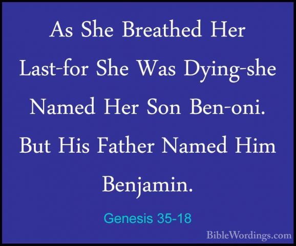 Genesis 35-18 - As She Breathed Her Last-for She Was Dying-she NaAs She Breathed Her Last-for She Was Dying-she Named Her Son Ben-oni. But His Father Named Him Benjamin. 
