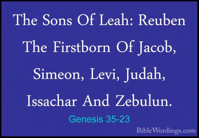 Genesis 35-23 - The Sons Of Leah: Reuben The Firstborn Of Jacob,The Sons Of Leah: Reuben The Firstborn Of Jacob, Simeon, Levi, Judah, Issachar And Zebulun. 