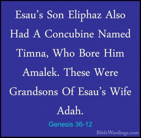 Genesis 36-12 - Esau's Son Eliphaz Also Had A Concubine Named TimEsau's Son Eliphaz Also Had A Concubine Named Timna, Who Bore Him Amalek. These Were Grandsons Of Esau's Wife Adah. 