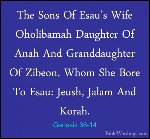 Genesis 36-14 - The Sons Of Esau's Wife Oholibamah Daughter Of AnThe Sons Of Esau's Wife Oholibamah Daughter Of Anah And Granddaughter Of Zibeon, Whom She Bore To Esau: Jeush, Jalam And Korah. 
