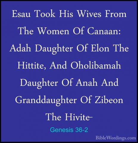 Genesis 36-2 - Esau Took His Wives From The Women Of Canaan: AdahEsau Took His Wives From The Women Of Canaan: Adah Daughter Of Elon The Hittite, And Oholibamah Daughter Of Anah And Granddaughter Of Zibeon The Hivite- 