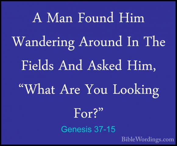 Genesis 37-15 - A Man Found Him Wandering Around In The Fields AnA Man Found Him Wandering Around In The Fields And Asked Him, "What Are You Looking For?" 