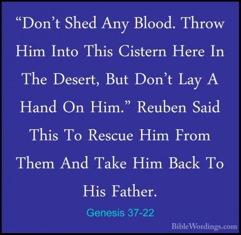 Genesis 37-22 - "Don't Shed Any Blood. Throw Him Into This Cister"Don't Shed Any Blood. Throw Him Into This Cistern Here In The Desert, But Don't Lay A Hand On Him." Reuben Said This To Rescue Him From Them And Take Him Back To His Father. 