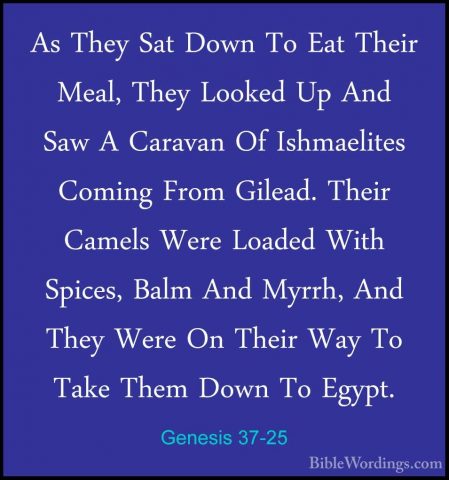 Genesis 37-25 - As They Sat Down To Eat Their Meal, They Looked UAs They Sat Down To Eat Their Meal, They Looked Up And Saw A Caravan Of Ishmaelites Coming From Gilead. Their Camels Were Loaded With Spices, Balm And Myrrh, And They Were On Their Way To Take Them Down To Egypt. 