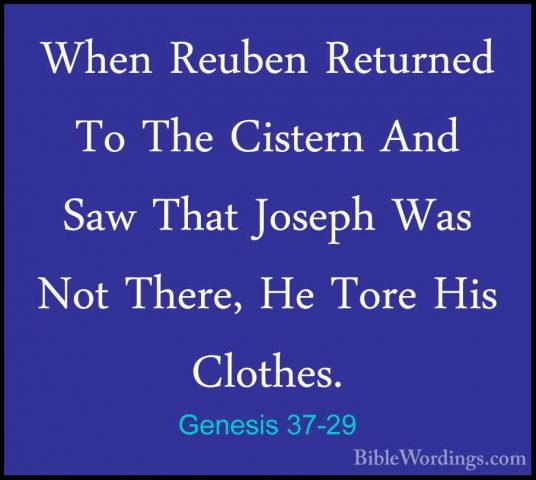 Genesis 37-29 - When Reuben Returned To The Cistern And Saw ThatWhen Reuben Returned To The Cistern And Saw That Joseph Was Not There, He Tore His Clothes. 