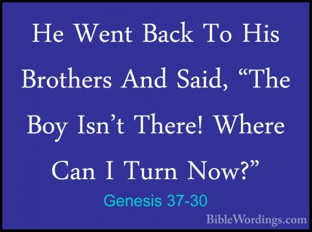 Genesis 37-30 - He Went Back To His Brothers And Said, "The Boy IHe Went Back To His Brothers And Said, "The Boy Isn't There! Where Can I Turn Now?" 