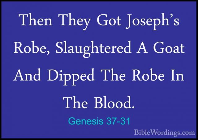 Genesis 37-31 - Then They Got Joseph's Robe, Slaughtered A Goat AThen They Got Joseph's Robe, Slaughtered A Goat And Dipped The Robe In The Blood. 