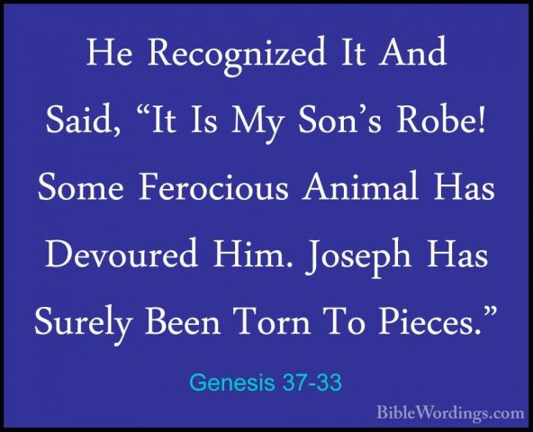 Genesis 37-33 - He Recognized It And Said, "It Is My Son's Robe!He Recognized It And Said, "It Is My Son's Robe! Some Ferocious Animal Has Devoured Him. Joseph Has Surely Been Torn To Pieces." 