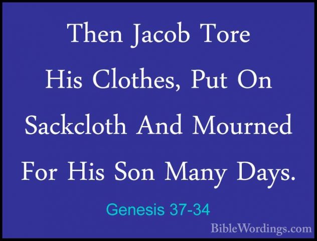 Genesis 37-34 - Then Jacob Tore His Clothes, Put On Sackcloth AndThen Jacob Tore His Clothes, Put On Sackcloth And Mourned For His Son Many Days. 