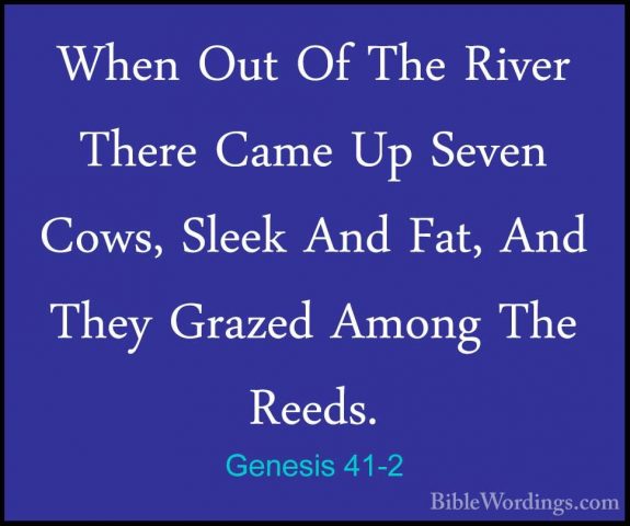 Genesis 41-2 - When Out Of The River There Came Up Seven Cows, SlWhen Out Of The River There Came Up Seven Cows, Sleek And Fat, And They Grazed Among The Reeds. 