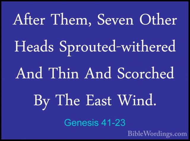 Genesis 41-23 - After Them, Seven Other Heads Sprouted-withered AAfter Them, Seven Other Heads Sprouted-withered And Thin And Scorched By The East Wind. 