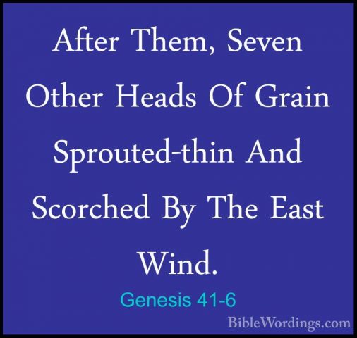 Genesis 41-6 - After Them, Seven Other Heads Of Grain Sprouted-thAfter Them, Seven Other Heads Of Grain Sprouted-thin And Scorched By The East Wind. 