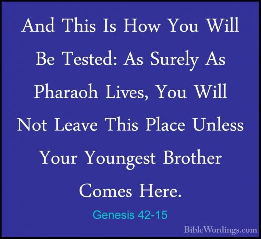 Genesis 42-15 - And This Is How You Will Be Tested: As Surely AsAnd This Is How You Will Be Tested: As Surely As Pharaoh Lives, You Will Not Leave This Place Unless Your Youngest Brother Comes Here. 