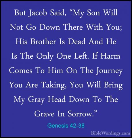 Genesis 42-38 - But Jacob Said, "My Son Will Not Go Down There WiBut Jacob Said, "My Son Will Not Go Down There With You; His Brother Is Dead And He Is The Only One Left. If Harm Comes To Him On The Journey You Are Taking, You Will Bring My Gray Head Down To The Grave In Sorrow."
