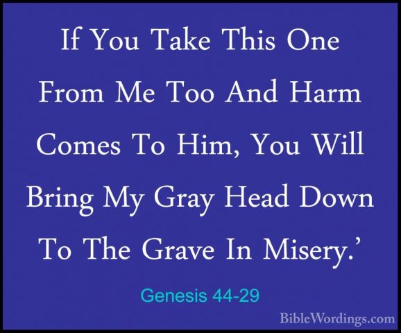 Genesis 44-29 - If You Take This One From Me Too And Harm Comes TIf You Take This One From Me Too And Harm Comes To Him, You Will Bring My Gray Head Down To The Grave In Misery.' 