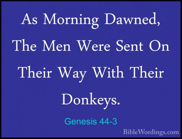Genesis 44-3 - As Morning Dawned, The Men Were Sent On Their WayAs Morning Dawned, The Men Were Sent On Their Way With Their Donkeys. 