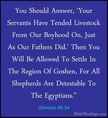 Genesis 46-34 - You Should Answer, 'Your Servants Have Tended LivYou Should Answer, 'Your Servants Have Tended Livestock From Our Boyhood On, Just As Our Fathers Did.' Then You Will Be Allowed To Settle In The Region Of Goshen, For All Shepherds Are Detestable To The Egyptians."
