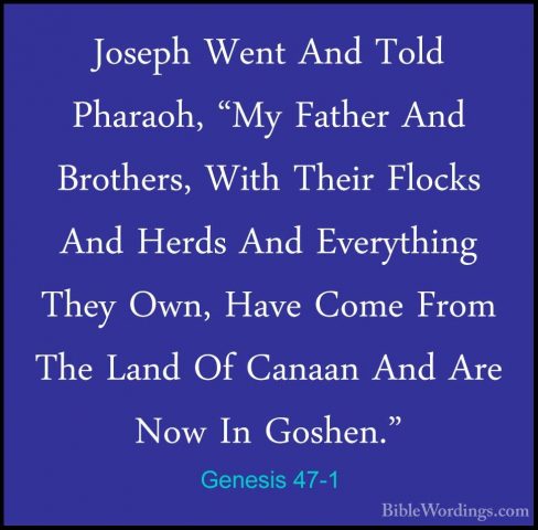 Genesis 47-1 - Joseph Went And Told Pharaoh, "My Father And BrothJoseph Went And Told Pharaoh, "My Father And Brothers, With Their Flocks And Herds And Everything They Own, Have Come From The Land Of Canaan And Are Now In Goshen." 