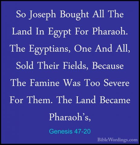 Genesis 47-20 - So Joseph Bought All The Land In Egypt For PharaoSo Joseph Bought All The Land In Egypt For Pharaoh. The Egyptians, One And All, Sold Their Fields, Because The Famine Was Too Severe For Them. The Land Became Pharaoh's, 