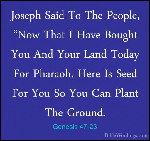 Genesis 47-23 - Joseph Said To The People, "Now That I Have BoughJoseph Said To The People, "Now That I Have Bought You And Your Land Today For Pharaoh, Here Is Seed For You So You Can Plant The Ground. 