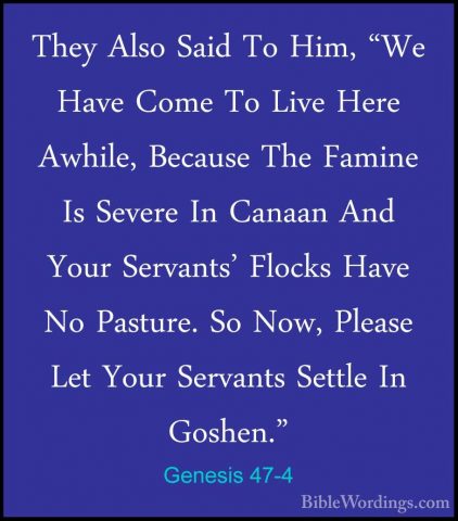 Genesis 47-4 - They Also Said To Him, "We Have Come To Live HereThey Also Said To Him, "We Have Come To Live Here Awhile, Because The Famine Is Severe In Canaan And Your Servants' Flocks Have No Pasture. So Now, Please Let Your Servants Settle In Goshen." 