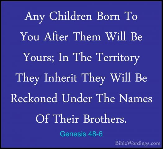Genesis 48-6 - Any Children Born To You After Them Will Be Yours;Any Children Born To You After Them Will Be Yours; In The Territory They Inherit They Will Be Reckoned Under The Names Of Their Brothers. 