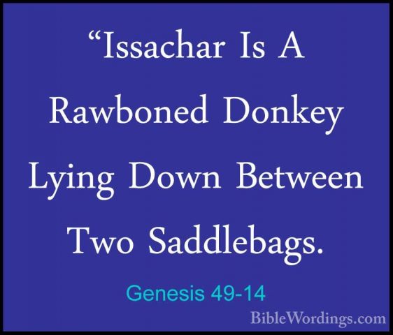 Genesis 49-14 - "Issachar Is A Rawboned Donkey Lying Down Between"Issachar Is A Rawboned Donkey Lying Down Between Two Saddlebags. 