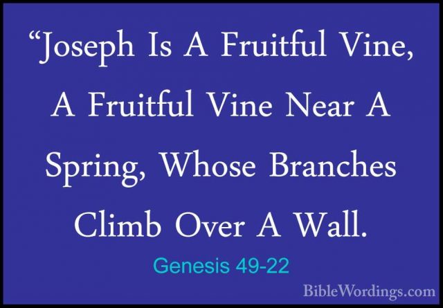 Genesis 49-22 - "Joseph Is A Fruitful Vine, A Fruitful Vine Near"Joseph Is A Fruitful Vine, A Fruitful Vine Near A Spring, Whose Branches Climb Over A Wall. 