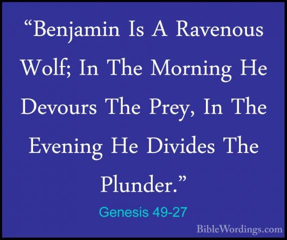 Genesis 49-27 - "Benjamin Is A Ravenous Wolf; In The Morning He D"Benjamin Is A Ravenous Wolf; In The Morning He Devours The Prey, In The Evening He Divides The Plunder." 