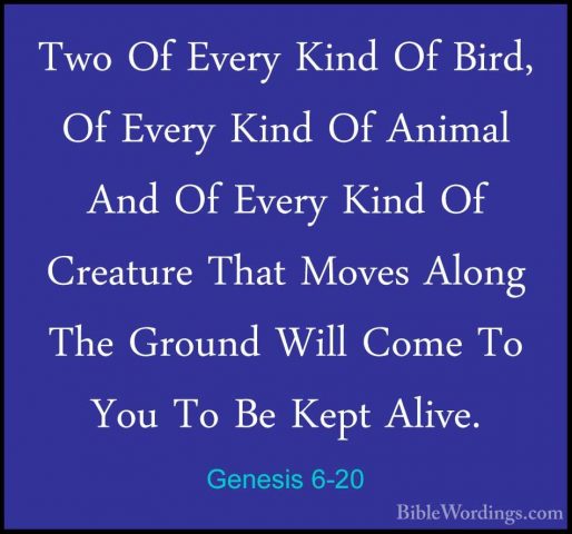 Genesis 6-20 - Two Of Every Kind Of Bird, Of Every Kind Of AnimalTwo Of Every Kind Of Bird, Of Every Kind Of Animal And Of Every Kind Of Creature That Moves Along The Ground Will Come To You To Be Kept Alive. 