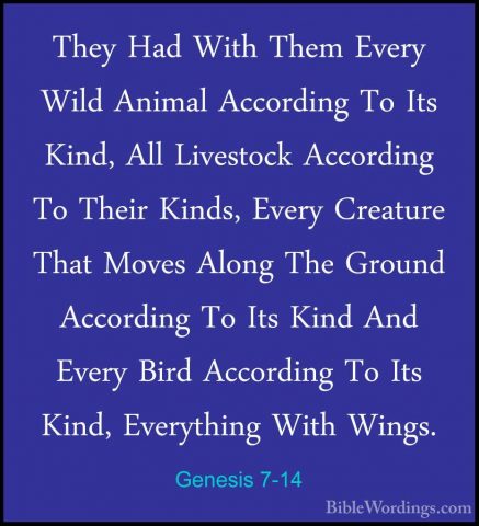 Genesis 7-14 - They Had With Them Every Wild Animal According ToThey Had With Them Every Wild Animal According To Its Kind, All Livestock According To Their Kinds, Every Creature That Moves Along The Ground According To Its Kind And Every Bird According To Its Kind, Everything With Wings. 