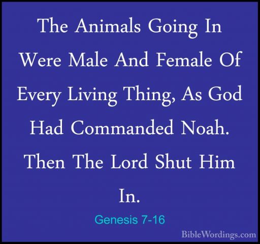 Genesis 7-16 - The Animals Going In Were Male And Female Of EveryThe Animals Going In Were Male And Female Of Every Living Thing, As God Had Commanded Noah. Then The Lord Shut Him In. 