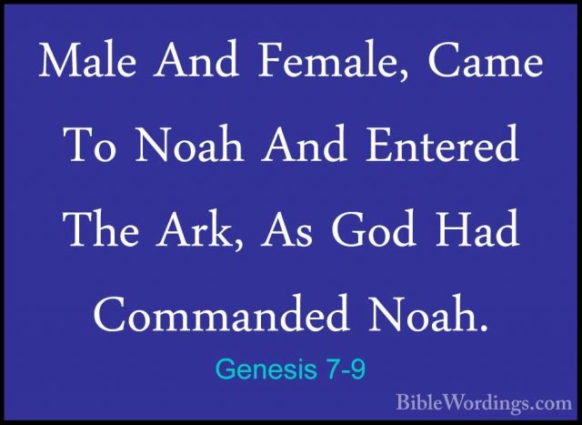 Genesis 7-9 - Male And Female, Came To Noah And Entered The Ark,Male And Female, Came To Noah And Entered The Ark, As God Had Commanded Noah. 