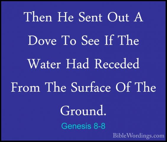 Genesis 8-8 - Then He Sent Out A Dove To See If The Water Had RecThen He Sent Out A Dove To See If The Water Had Receded From The Surface Of The Ground. 