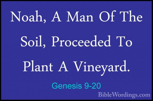 Genesis 9-20 - Noah, A Man Of The Soil, Proceeded To Plant A VineNoah, A Man Of The Soil, Proceeded To Plant A Vineyard. 