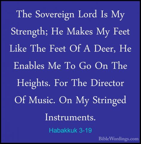 Habakkuk 3-19 - The Sovereign Lord Is My Strength; He Makes My FeThe Sovereign Lord Is My Strength; He Makes My Feet Like The Feet Of A Deer, He Enables Me To Go On The Heights. For The Director Of Music. On My Stringed Instruments.