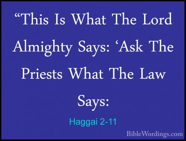 Haggai 2-11 - "This Is What The Lord Almighty Says: 'Ask The Prie"This Is What The Lord Almighty Says: 'Ask The Priests What The Law Says: 