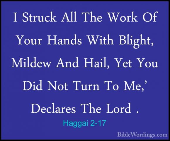 Haggai 2-17 - I Struck All The Work Of Your Hands With Blight, MiI Struck All The Work Of Your Hands With Blight, Mildew And Hail, Yet You Did Not Turn To Me,' Declares The Lord . 