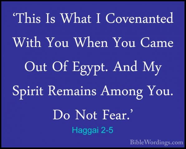 Haggai 2-5 - 'This Is What I Covenanted With You When You Came Ou'This Is What I Covenanted With You When You Came Out Of Egypt. And My Spirit Remains Among You. Do Not Fear.' 