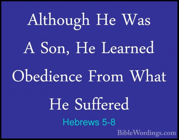Hebrews 5-8 - Although He Was A Son, He Learned Obedience From WhAlthough He Was A Son, He Learned Obedience From What He Suffered 