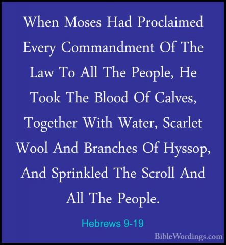 Hebrews 9-19 - When Moses Had Proclaimed Every Commandment Of TheWhen Moses Had Proclaimed Every Commandment Of The Law To All The People, He Took The Blood Of Calves, Together With Water, Scarlet Wool And Branches Of Hyssop, And Sprinkled The Scroll And All The People. 