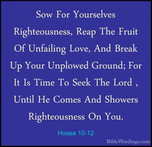 Hosea 10-12 - Sow For Yourselves Righteousness, Reap The Fruit OfSow For Yourselves Righteousness, Reap The Fruit Of Unfailing Love, And Break Up Your Unplowed Ground; For It Is Time To Seek The Lord , Until He Comes And Showers Righteousness On You. 