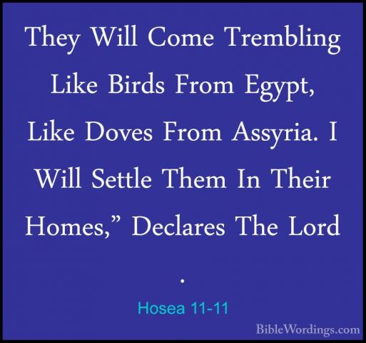 Hosea 11-11 - They Will Come Trembling Like Birds From Egypt, LikThey Will Come Trembling Like Birds From Egypt, Like Doves From Assyria. I Will Settle Them In Their Homes," Declares The Lord . 