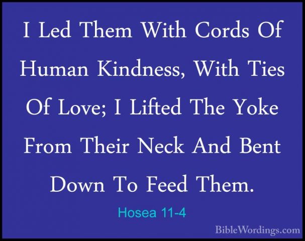 Hosea 11-4 - I Led Them With Cords Of Human Kindness, With Ties OI Led Them With Cords Of Human Kindness, With Ties Of Love; I Lifted The Yoke From Their Neck And Bent Down To Feed Them. 