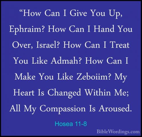 Hosea 11-8 - "How Can I Give You Up, Ephraim? How Can I Hand You"How Can I Give You Up, Ephraim? How Can I Hand You Over, Israel? How Can I Treat You Like Admah? How Can I Make You Like Zeboiim? My Heart Is Changed Within Me; All My Compassion Is Aroused. 
