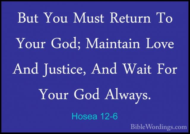 Hosea 12-6 - But You Must Return To Your God; Maintain Love And JBut You Must Return To Your God; Maintain Love And Justice, And Wait For Your God Always. 