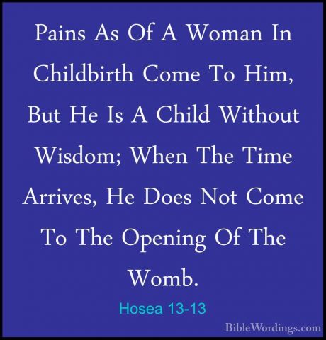 Hosea 13-13 - Pains As Of A Woman In Childbirth Come To Him, ButPains As Of A Woman In Childbirth Come To Him, But He Is A Child Without Wisdom; When The Time Arrives, He Does Not Come To The Opening Of The Womb. 